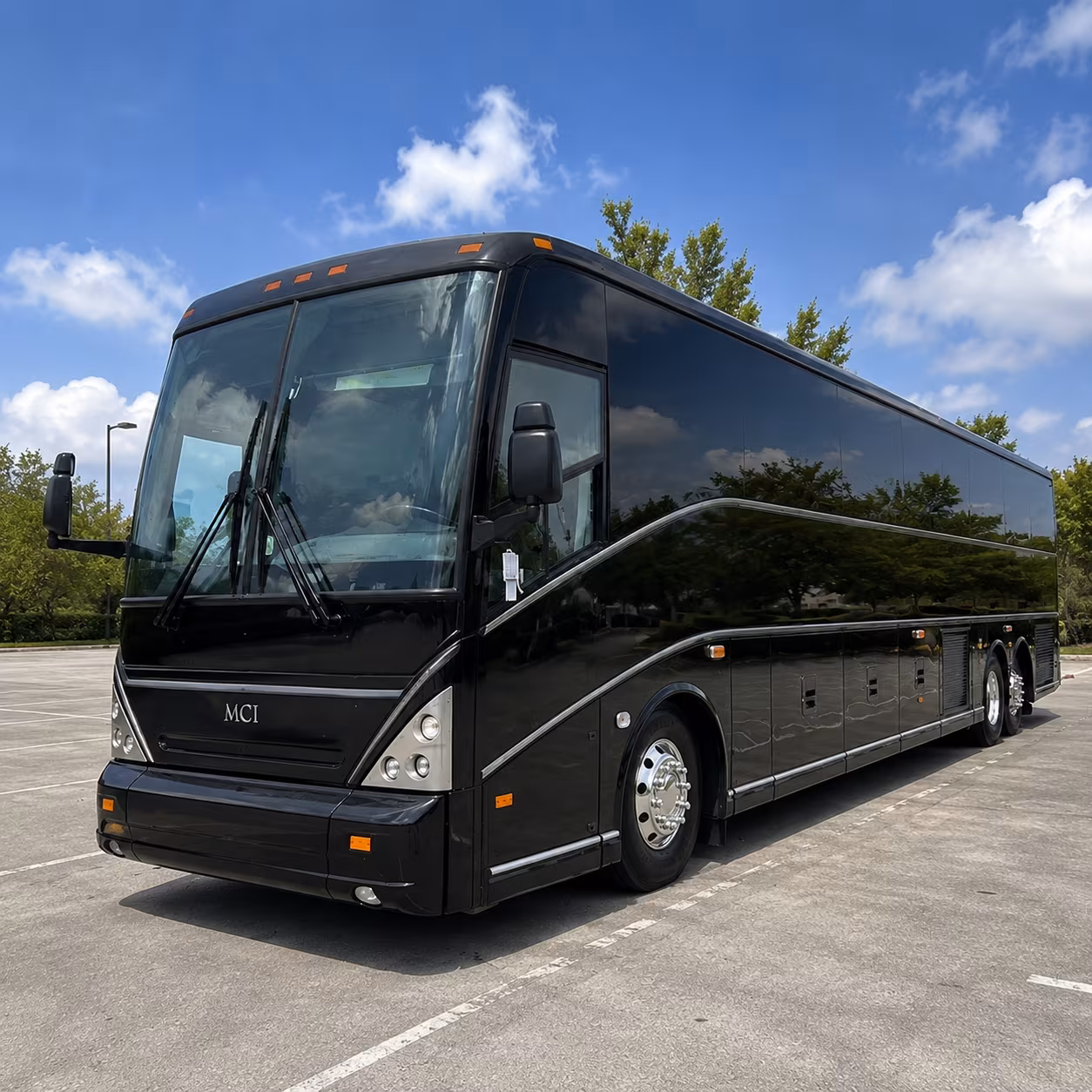 bus rentals to zootampa and the florida aquarium across the bay