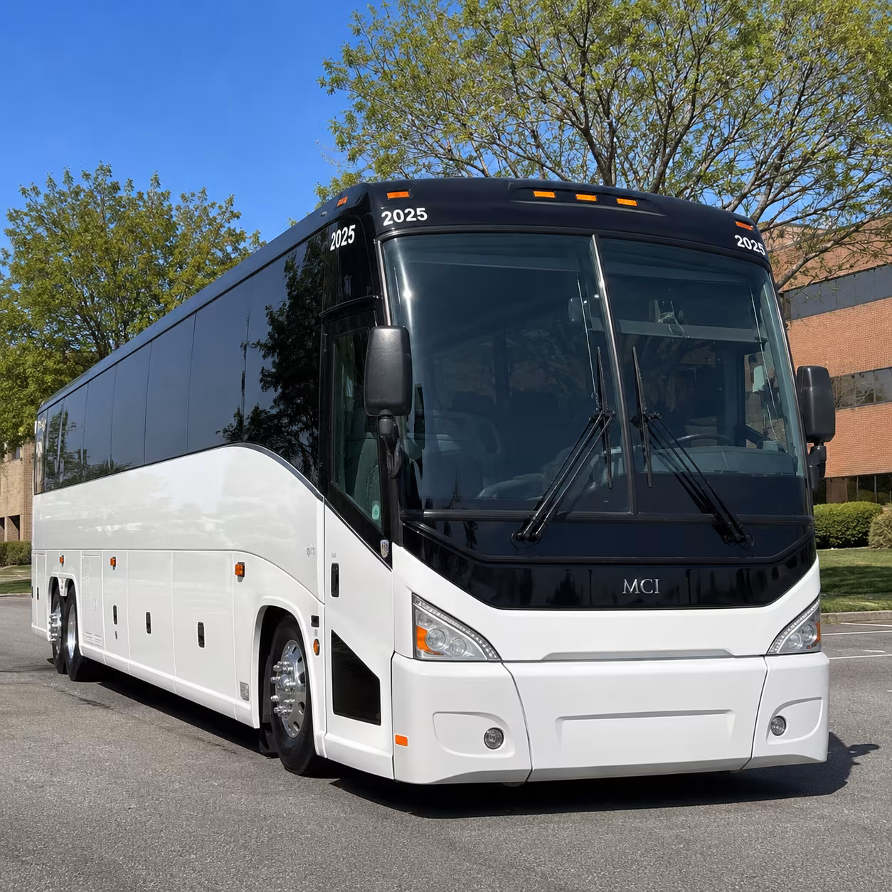 clearwater jazz holiday and outdoor festival rides from largo
